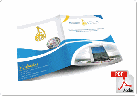 https://www.linksadvertising.com.pk/public/upload/projects/19361_mesrkanaloo.png